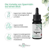 Laden Sie das Bild in den Galerie-Viewer, MyNatur Ingwer Tropfen