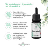 Laden Sie das Bild in den Galerie-Viewer, Spermidin Tropfen